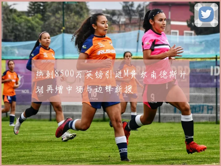 热刺8500万英镑引进M费尔南德斯计划再增中场与边锋新援