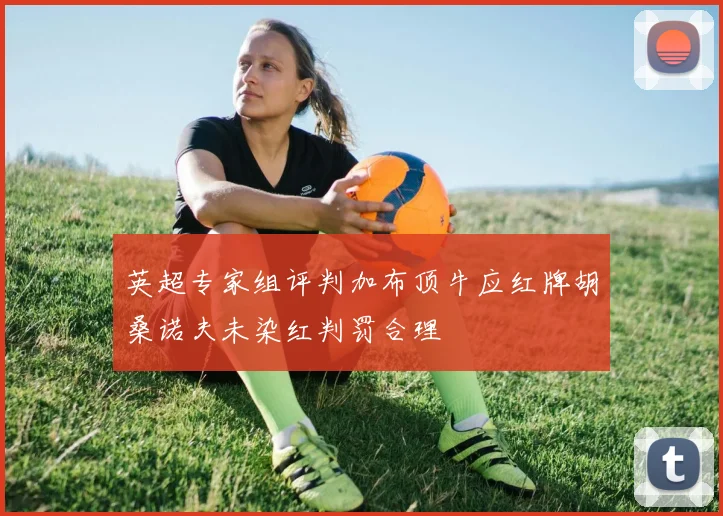 英超专家组评判加布顶牛应红牌胡桑诺夫未染红判罚合理