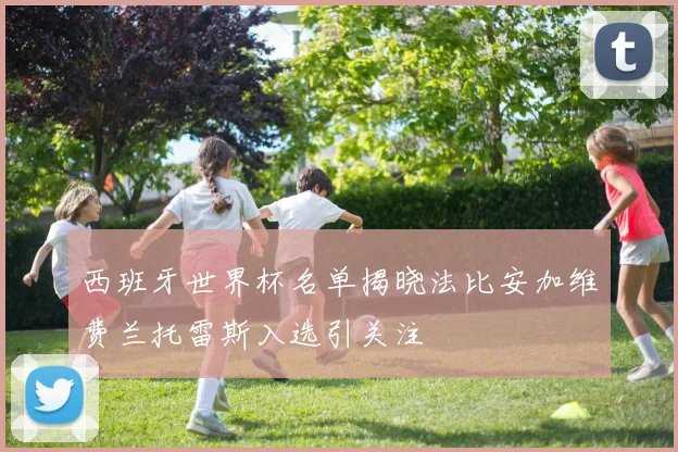 西班牙世界杯名单揭晓法比安加维费兰托雷斯入选引关注